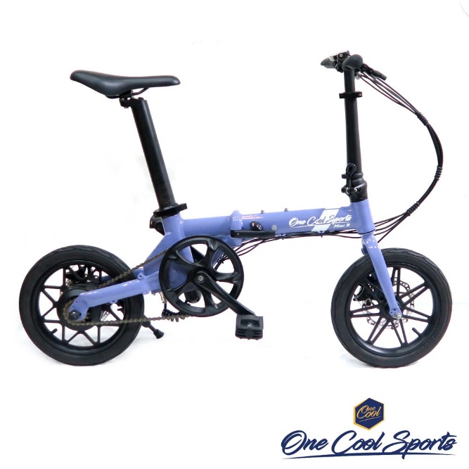 【OneCool Sports玩酷】Mini BARRY 電動輔助折疊自行車